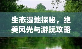 生态湿地探秘,绝美风光与游玩攻略!