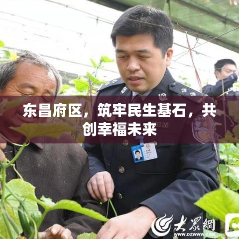 东昌府区,筑牢民生基石,共创幸福未来