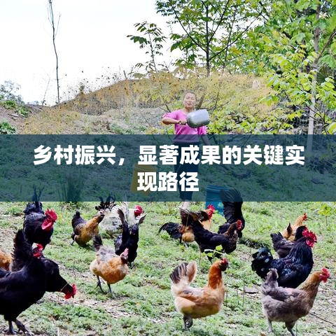 乡村振兴,显著成果的关键实现路径