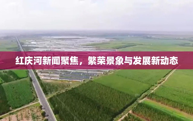 红庆河新闻聚焦，繁荣景象与发展新动态