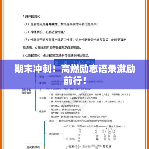 期末冲刺!高燃励志语录激励前行!