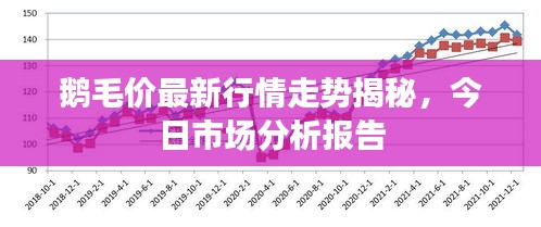 鹅毛价最新行情走势揭秘,今日市场分析报告