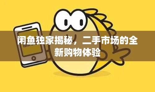闲鱼独家揭秘,二手市场的全新购物体验