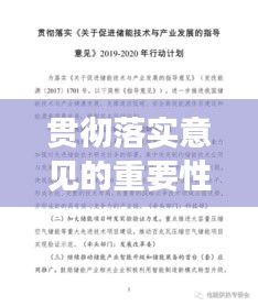贯彻落实意见的重要性，实践指南与行动纲领