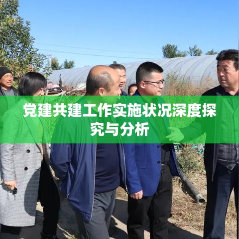 党建共建工作实施状况深度探究与分析