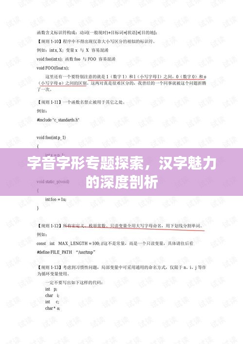 字音字形专题探索,汉字魅力的深度剖析