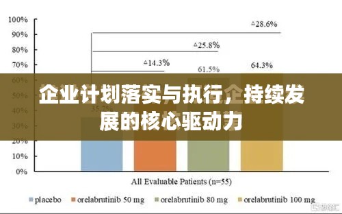 企业计划落实与执行,持续发展的核心驱动力
