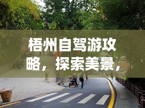 梧州自驾游攻略,探索美景,尽享自驾乐趣!